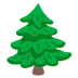 evergreen tree