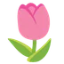 tulip