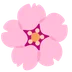 cherry blossom