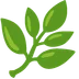 herb