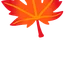 maple leaf