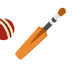 cricket game