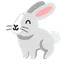 rabbit