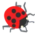 lady beetle