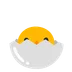 hatching chick
