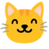 cat face