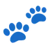 paw prints