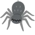spider