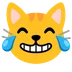 cat with tears of joy