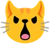 pouting cat
