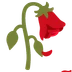 wilted flower