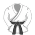 martial arts uniform