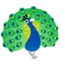 peacock