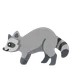 raccoon