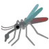 mosquito