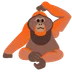 orangutan