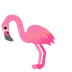 flamingo