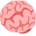 brain