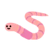 worm