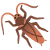 cockroach