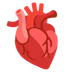 anatomical heart