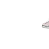 ice skate